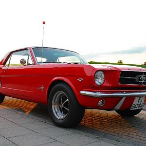 Mustang1