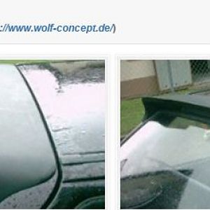 Wolf Dachkantenspoiler Fiesta MK3