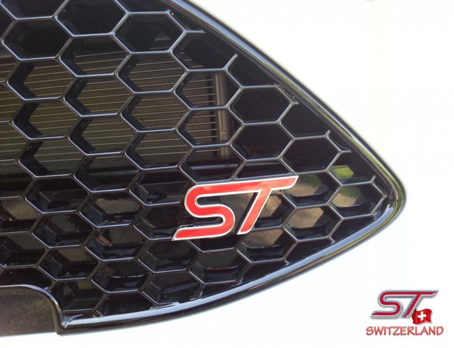 10 Ford Fiesta ST front logojpg