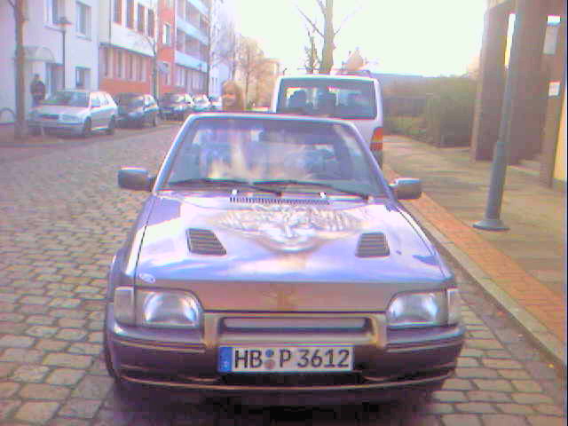 4383.jpg