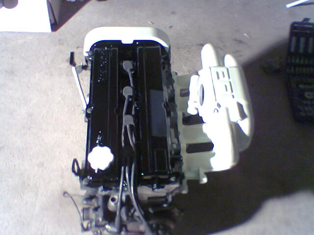 8153.jpg