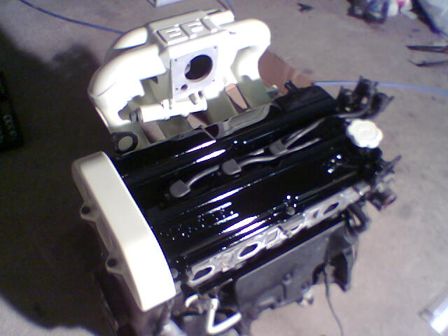 8154.jpg