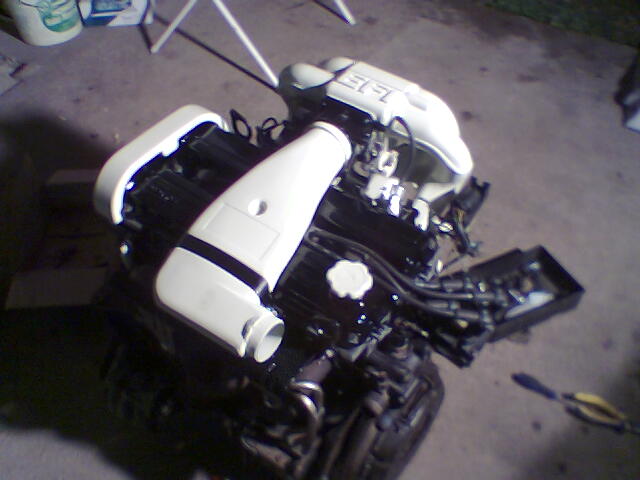 8156.jpg
