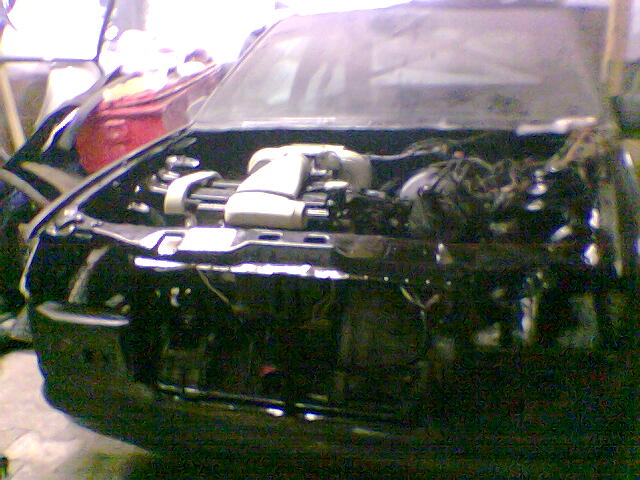 8157.jpg