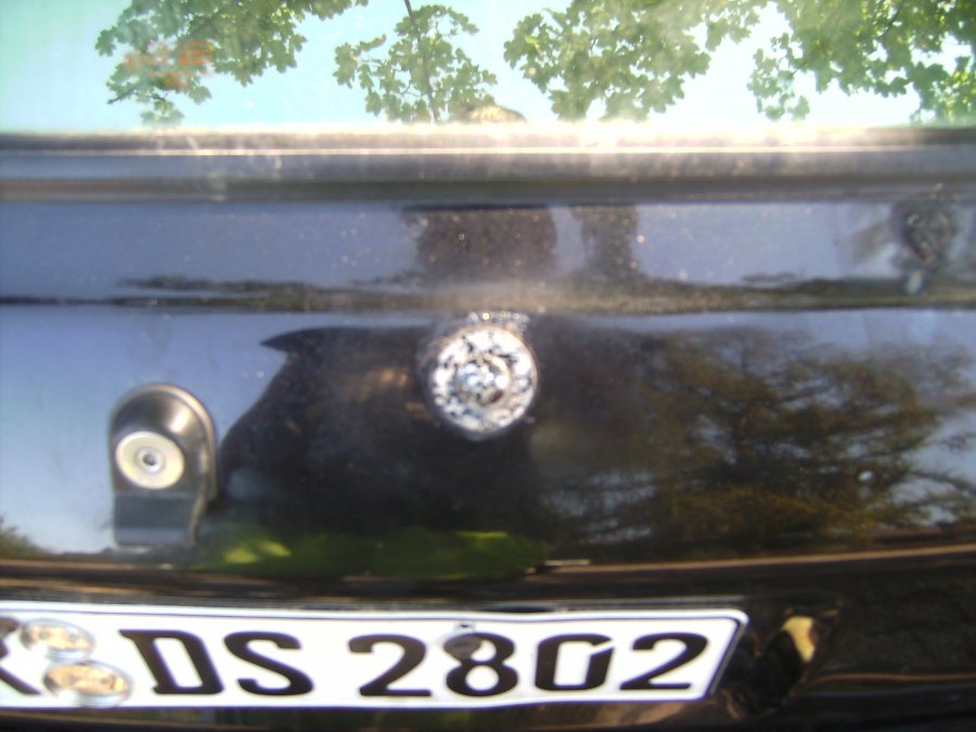 BILD0816