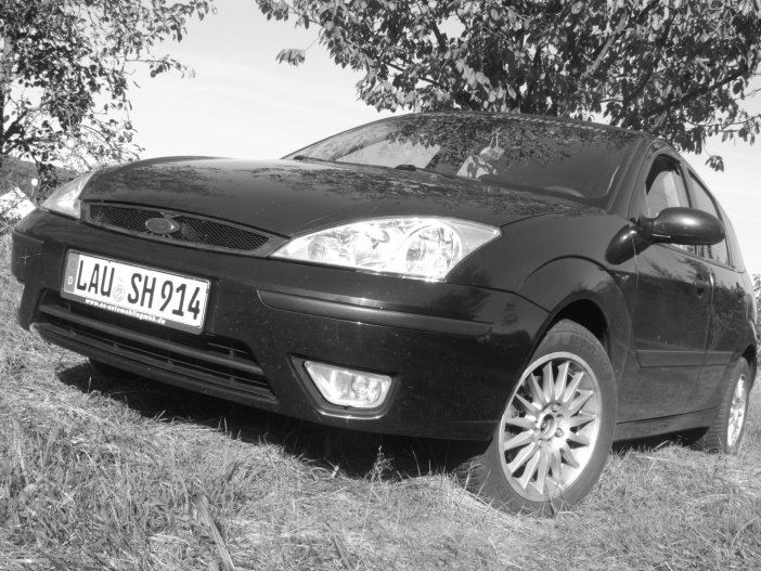 BILD8504