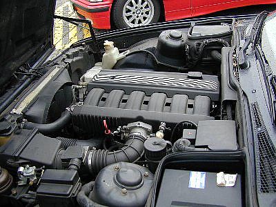 Das Herz! 2.5er 24V