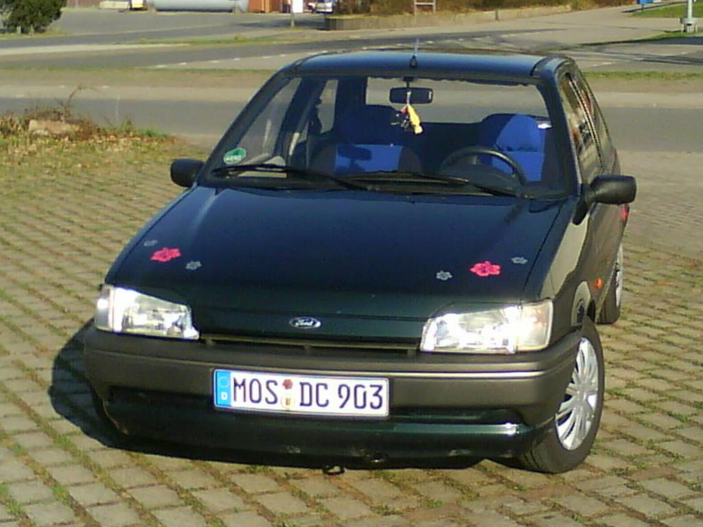DSC00019 (1)