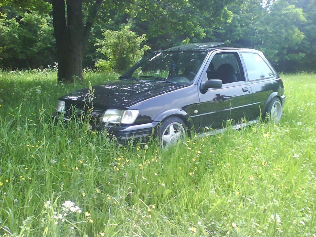 DSC00568
