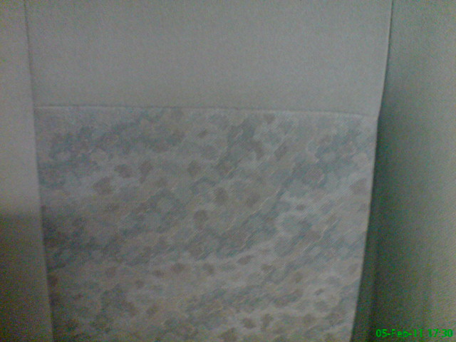 DSC00951