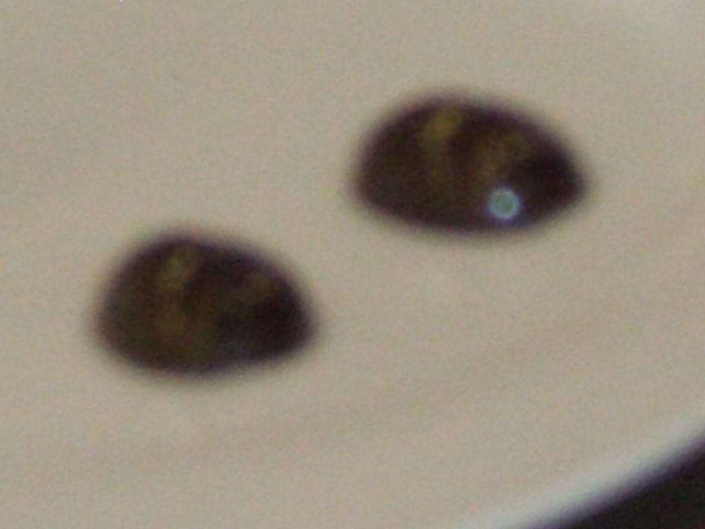 DSCF0593