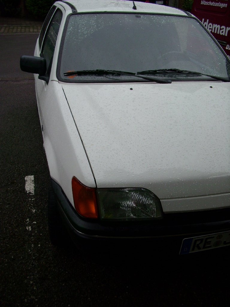 DSCI0896 1024x768