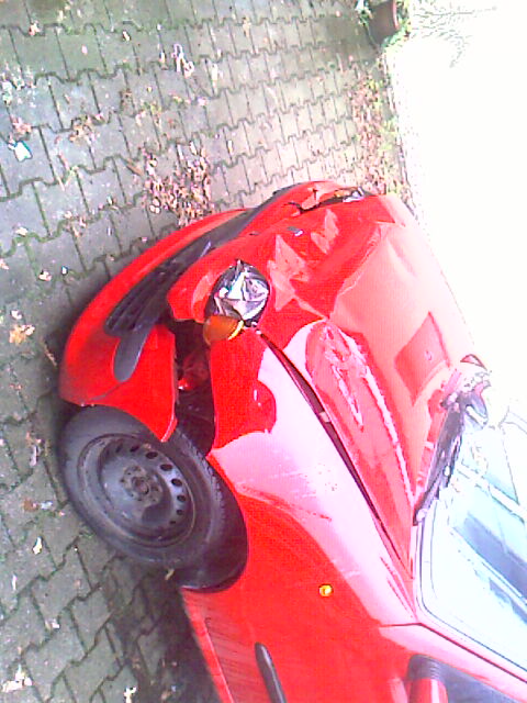Fiat vorne