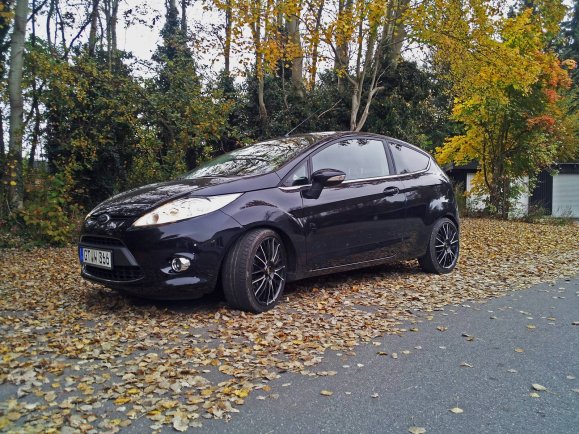 Fiesta neu1 (1600 x 1200)