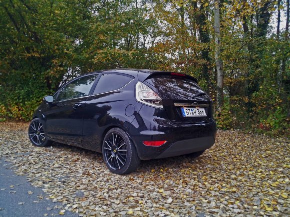 Fiesta neu2 (1600 x 1200)
