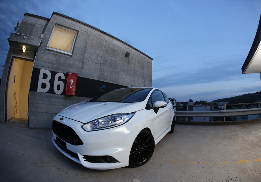 Fiesta ST 05