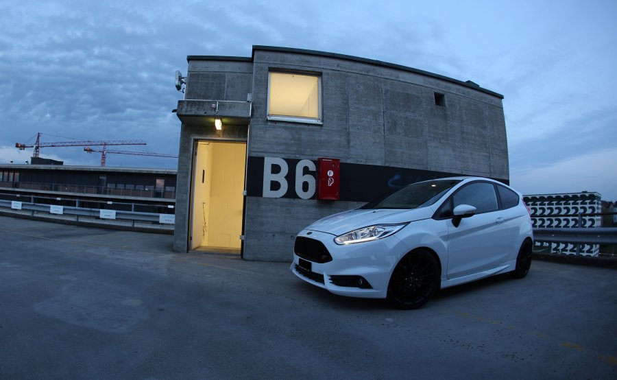 Fiesta ST 10