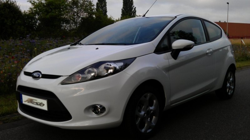 Fiesta1 800