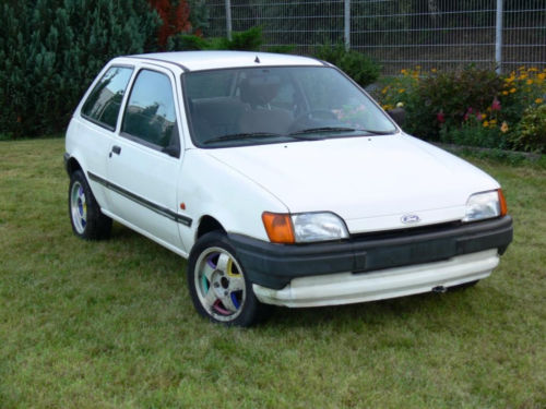 Fiesta2