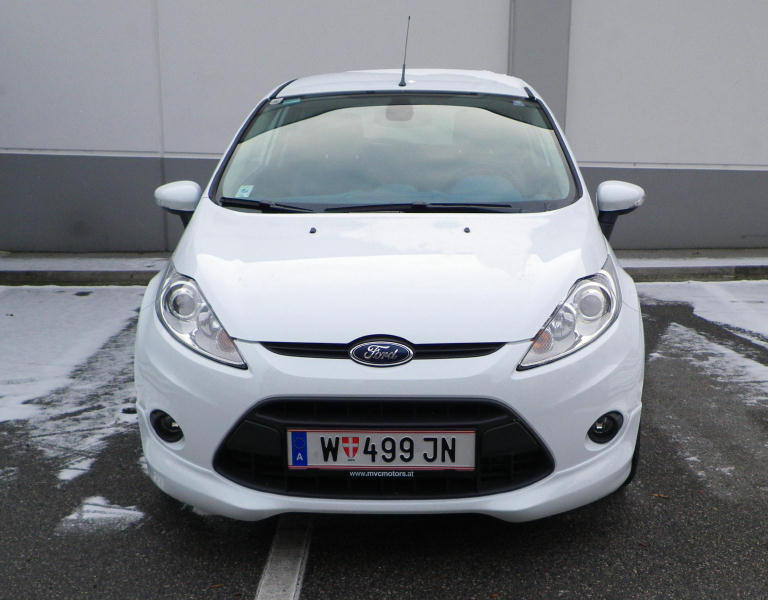 fofi von vorn