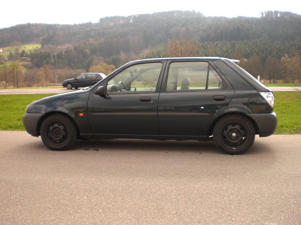 fofi