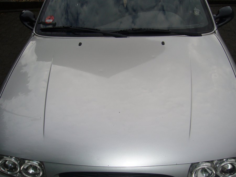 FoFi