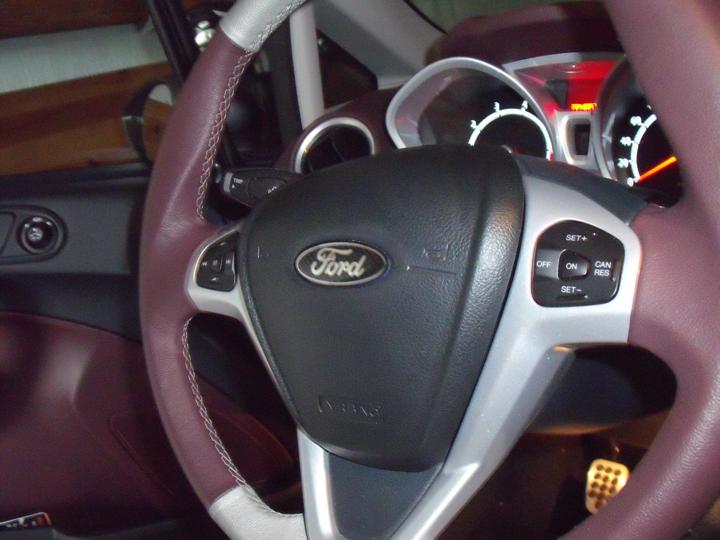 Ford Logo 4