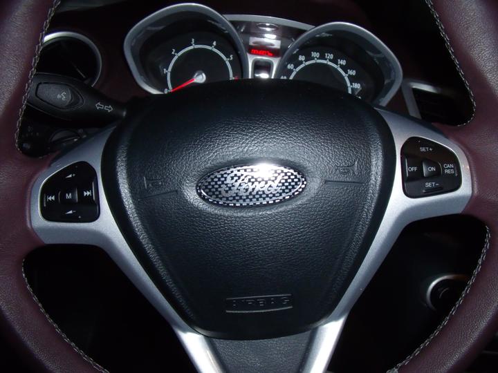 Ford Logo 5