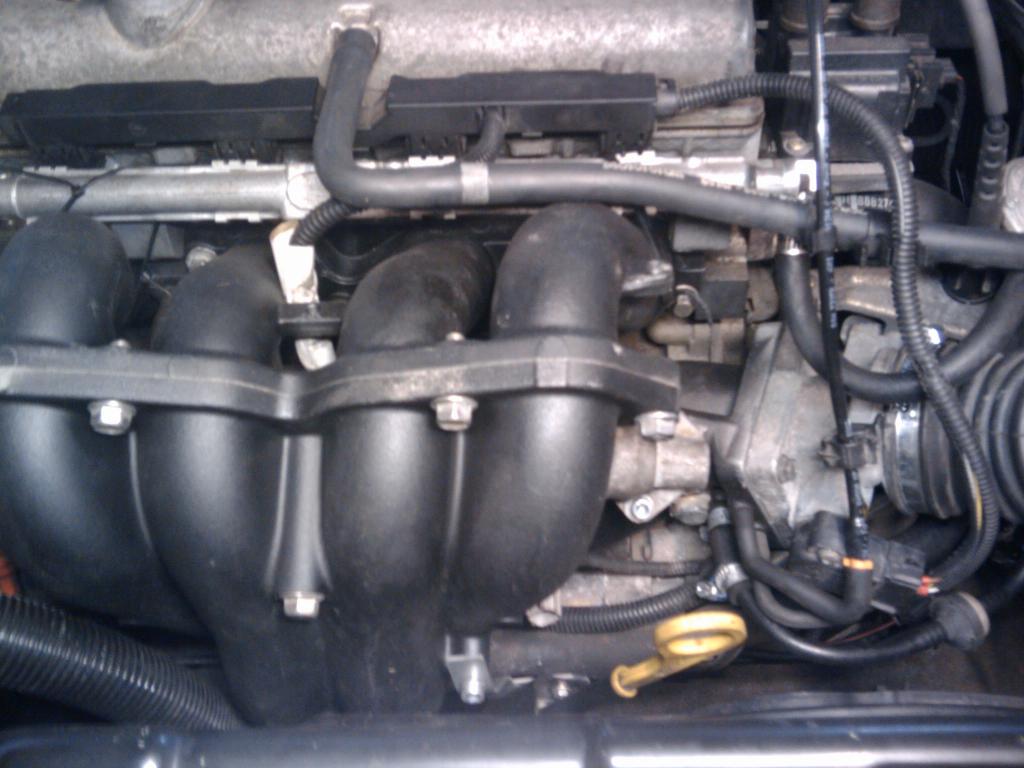 Gesamtansicht Puma Ansaugtrakt 1,7l habe den Pumakrümmer schwarz lackiert ....ist dezenter:-)