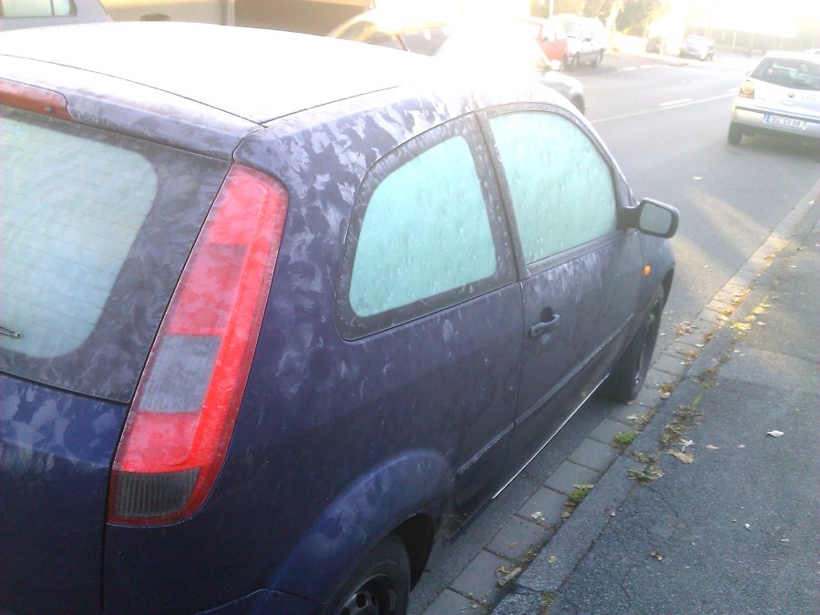 IceCamo2