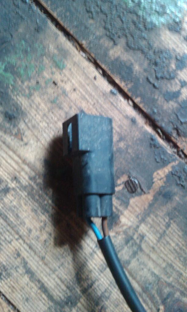 IMAG0038