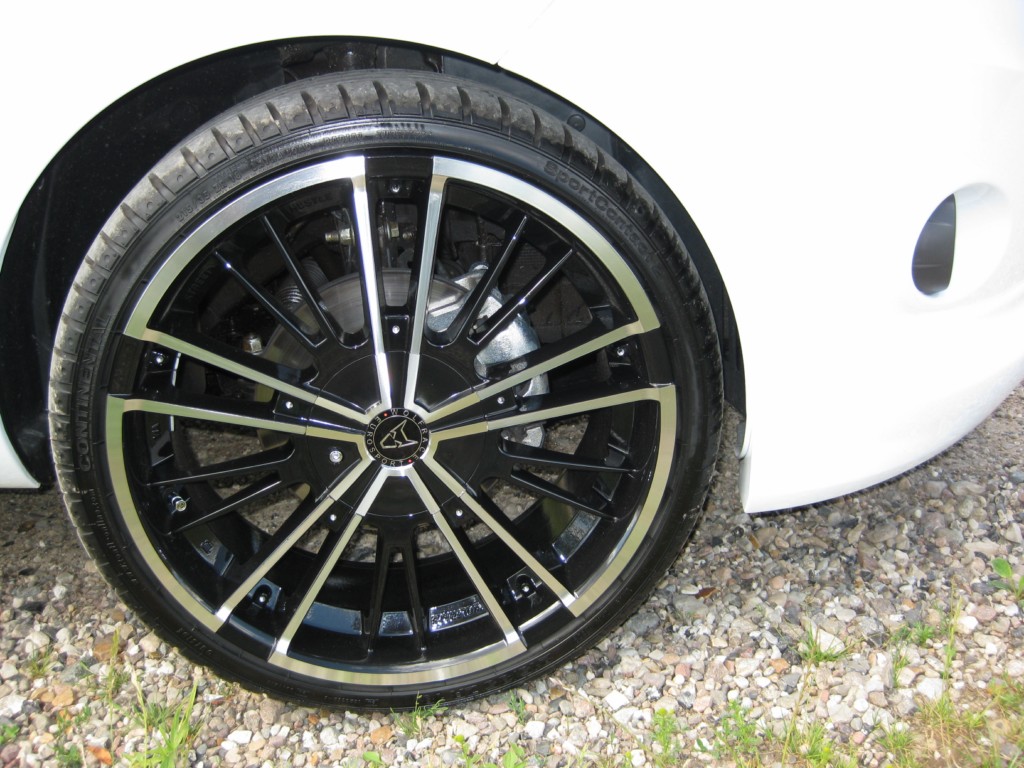 IMG 0283
