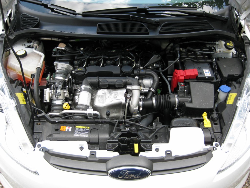 IMG 0372