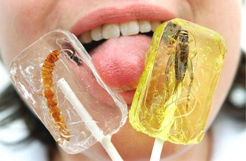Insektenlollie