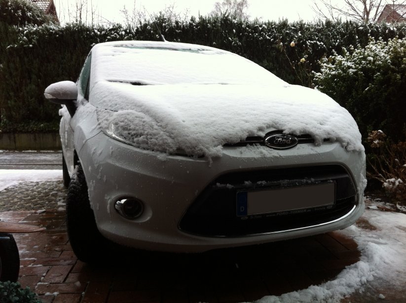 Mein Fofi im Winter :)