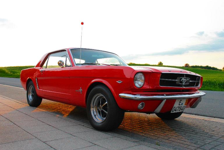 Mustang1