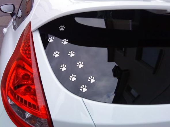 Nein, mir ist keine Katze über`s Auto gelaufen..... ;-)