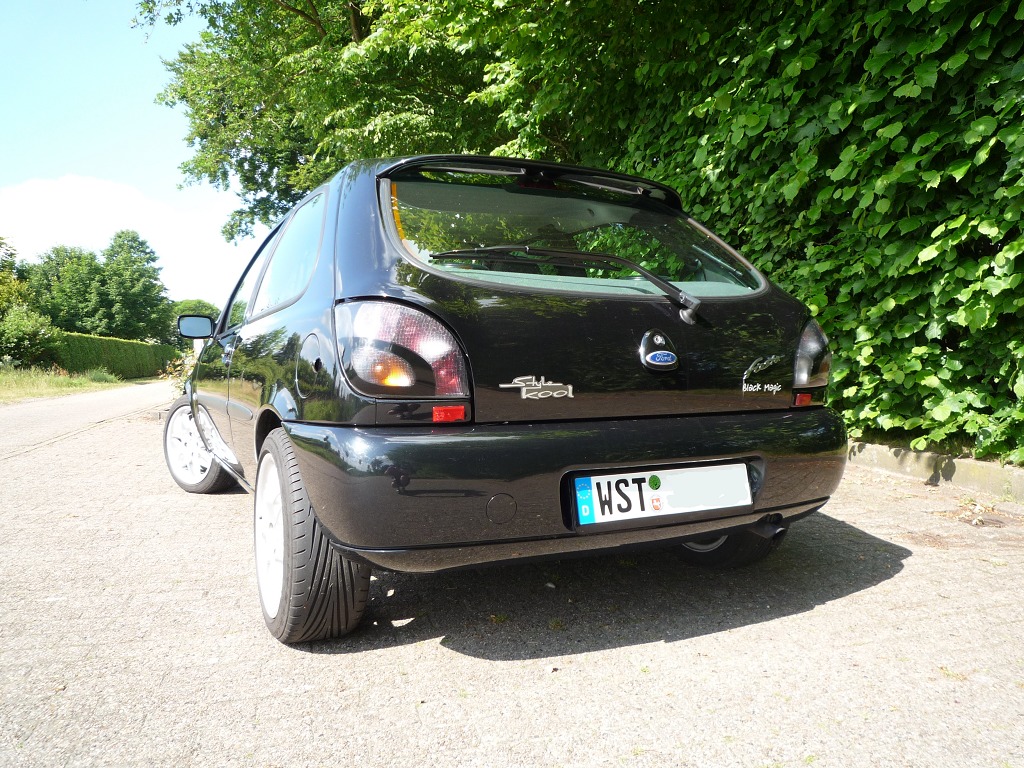 P1030445 (1024 x 768)