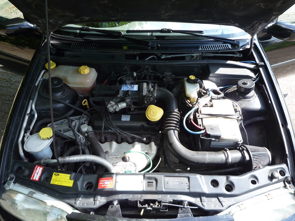 P1030451 (1024 x 768)