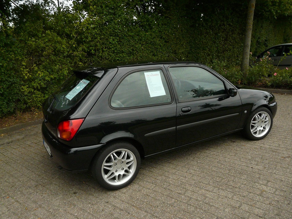 P1160586 (1024 x 768)