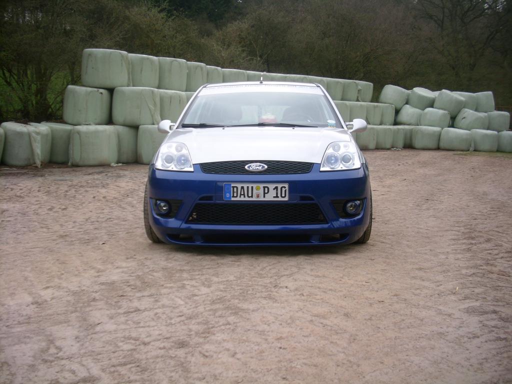 paddy 075