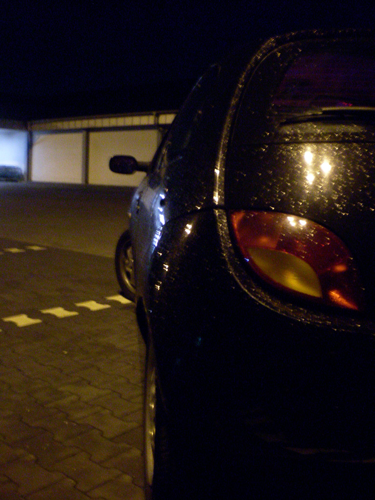 PICT2538 3