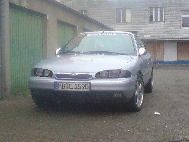 schwarzmorette