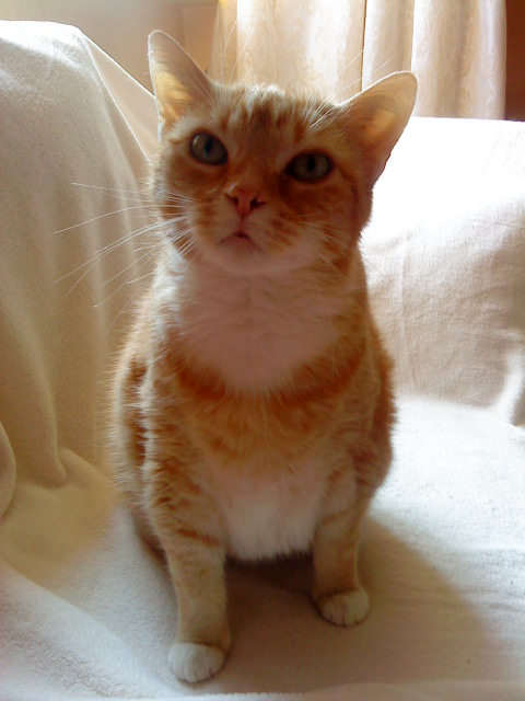 "Was guckst du??"