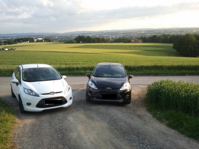 Yin & Yang